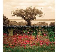 Dave Douglas Be Still (Vinyl) 12" Album