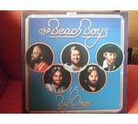 Beach Boys - 15 big ones (1976) / Vinyl record [Vinyl-LP]