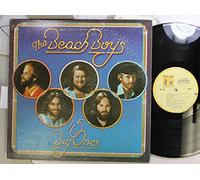 BEACH BOYS - 15 Big Ones