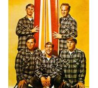 Beach Boys - Concert Days