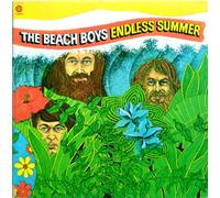BEACH BOYS - endless summer LP