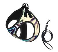 Beach Palm Trees 1 Print Pet Supplies Harnais réglable en maille respirante pour chiens de petite et moyenne taille S-L