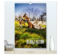 Beagle Action - Wilde Kuscheltiere (hochwertiger Premium Wandkalender 2026 DIN A2 hoch), Kunstdruck in Hochglanz: Beagles beim Spielen