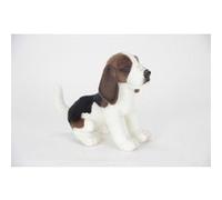 Beagle Ken No.5862 (import du Japon) G