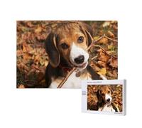 Beagle Mignon,Puzzle Familial en Bois de 1 000 pièces pour Adultes et Adolescents, décoration d'intérieur
