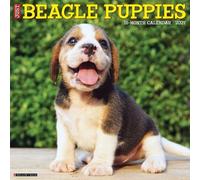 Beagle Puppies 2027 Wall