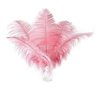 BEAHING 10 pièces Plumes d'autruche, 10-12 Pouces (25-30 cm) Ornement décoratif de Plumes d'autruche Naturelles, Plume 'Animal pour l'artisanat de Bricolage - 12 Pouces, Grandes
