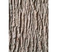 BEAHING Écorce d'arbre Artificielle 19.69x39.37 Pouces, pour piliers, tuyaux, décoration, Simulation découpable pour colonnes, Murs, sols