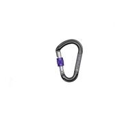 Beal - Be Lock Screw - Mousqueton à vis - black