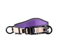 Beal Harnais Complet Ceinture Styx
