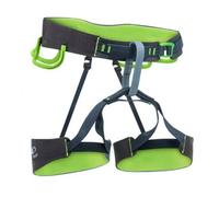 Beal Phantom Harness Vert,Gris L