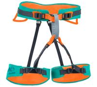 Beal - Rookie - Baudrier