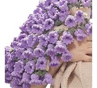 BEALIFE Bouquet au Crochet DIY Couverture de Fleurs Artisanale Paquet de lys Paquet reçu et Bricolage Vous-même Paquet de pelote de Laine au Crochet, tapez+4