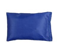 Bean Bag outil didactique bleu