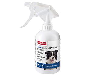 BEAPHAR - CANIGUARD Protect - Spray antiparasitaire pour Chien à la Perméthrine - Agit Contre Les puces et Les tiques - Très Longue Protection jusqu'à 5 semaines - Pulvérisateur de 250 ML