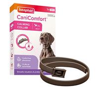 Beaphar CaniComfort Collier apaisant pour chiens adultes (jusqu'à 65 cm) | Fournit un soutien continu aux chiens anxieux et nerveux | Commence à travailler en 15 minutes | Aide à soulager la peur des feux d'artifice