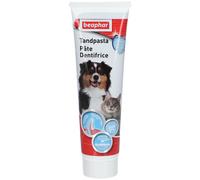 BEAPHAR - Dentifrice pour Chien et Chat - Contrôle de la Plaque Dentaire et du tartre - sans rinçage - Haleine fraîche - Nettoyage Complet - Goût Foie - Aux enzymes - sans colorants - Tube de 100 g