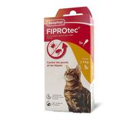 BEAPHAR - FIPROTEC 50 MG - Solution Spot-on pour Chats - 1 Pipette de 0 50 ML péremption 12/2026