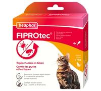 BEAPHAR - FIPROTEC Solution Spot-on pour Chats 50 MG - À Base de Fipronil - Tue Les Puces et Les Tiques à l'application - Traitement Antiparasitaire pour Chat dès 8 Semaines - 4 Pipettes de 0,50 ML