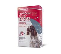 Beaphar - FIPROTEC COMBO - Solution spot-on pour chiens moyens (10-20 kg) - 3 pipettes de 1,34 ml