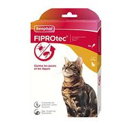 BEAPHAR - FIPROTEC Solution Spot-on au Fipronil pour Chats (> 1 kg) 50 MG - Traite Les infestations par Les puces - Tue Les tiques présentes sur Le Chat en 48 h - 6 pipettes de 0,5 ML