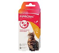 BEAPHAR - FIPROTEC 50 MG - Solution Spot-on pour Chats - À Base de Fipronil - Tue Les Puces et Les Tiques à l'application - Traitement Antiparasitaire pour Chat dès 8 Semaines - 1 Pipette de 0,50 ML