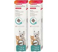BEAPHAR - IntestoPro - Complément Alimentaire pour améliorer la consistance des selles - Favorise la Digestion - Ingrédient Actif d'origine Naturelle - pour Chats et Petits Chiens (1 - 15 kg) - 20 ML