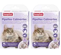 BEAPHAR - NO STRESS - Pipettes calmantes à la Valériane pour chat - Réduit le stress et les problèmes comportementaux sans dépendance ni somnolence - Prêt à l'emploi - 3 semaines d'action - 3 pipettes