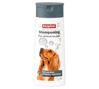 BEAPHAR - Shampoing Bulles Anti-Chute pour Chien - Contient du Méthyle-Sulfonyl-Méthane accélérant la Repousse de Poil - Nettoie en Douceur - pH Neutre Qui respecte l’épiderme - sans parabens - 250ml