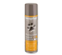 BEAPHAR â€“ Shampoing Mousse sans Rinçage Ã€ L'Aloe Vera pour Chien Et Chat â€“ Nettoie, Nourrit, Protège Et Parfume Le Poil Aux Agrumes â€“ Pratique Et Facile Ã€ Utiliser â€“ Flacon 250 ML