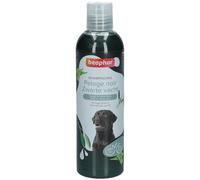 BEAPHAR - Shampooing Essentiel Pelage Noir pour Chien - Extra-Doux - Pelage Brillant - Contient de la Sauge et de l'Aloe Vera - sans parabène ni Silicone - pH Neutre - Produit Vegan - 250 ML
