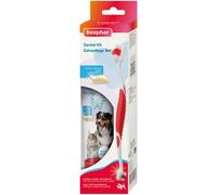 Beaphar TOOTH COMBIPACK - lot comprenant : dentifrice 100 g + brosse à dents pour chien/chat adulte