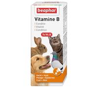 BEAPHAR - Vitamine B pour Chien, Chat, Lapin, Rongeurs et Oiseaux - Aliment complémentaire bénéfique pour la Peau et Le Pelage - Apporte Vitalité - Facile à Utiliser - Flacon 50 ML