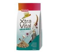 BEAPHAR - XTRAVITAL - Alimentation Premium pour Grandes Perruches - Contient Fruits, graines et patée aux œufs - Renforce Le système immunitaire - Procure vitalité et maintient en Bonne santé - 500g
