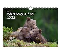 Bear Magic Calendrier Din A4 pour Ours 2022