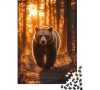 Bear Walking Through Sunlit Forest Puzzle 1000 Pièces pour Adultes, 52x38cm/1000pcs, À Compléter en Plusieurs Sessions; Carton Blanc avec Peu De Poussière