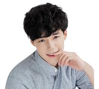 Bearbelly Perruque Courte pour Homme Marron Noir Moelleux Bou Mode Feune Garçon Perruque