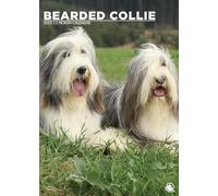 Bearded Collie Calendrier 2025