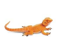 Bearded Dragon