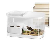 Bearded Dragon Terrarium - Habitat de reptiles pour agames barbus, quartiers d'araignées, gecko, tortue, araignée, caméléon, serpent