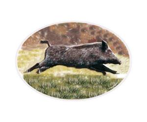 Bearn - Autocollant Sanglier Logo1-3 - Taille : 17 cm - Voiture - Vinyle - Brown - Rustique - Wild Boar Logo Car Sticker