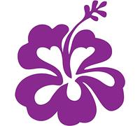 Bearn Hibiscus Fleur Autocollant Voiture - Taille : 11,5 x 10,5 cm - Couleur : Violet
