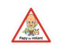 Bearn Papy au volant 9642 autocollant adhésif sticker - Taille : 17 cm