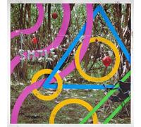 Bears in Trees - and Everybody Else Smiled Back [Import]