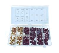 BEAST - Coffret 170 Pcs Vis Et Agrafes U-Clip Pour Carrosserie - Rangement Organisé - Fixation Rapide Sur Tôle Mince - Kit Complet Bricolage Auto