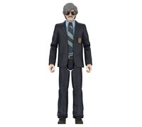 Beastie Boys Ultimates Action Figure Wave 1 Alasondro Alegre dans le rôle de "le