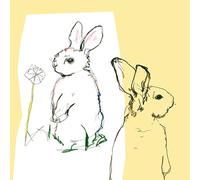 Beat Happening – Look Around – 2 vinyles – Domino Records