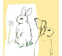 Beat Happening – Look Around – 2 vinyles – Domino Records