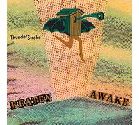 Beaten Awake - Thunder$troke [Import]