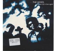 Beaten Up In Love Again
